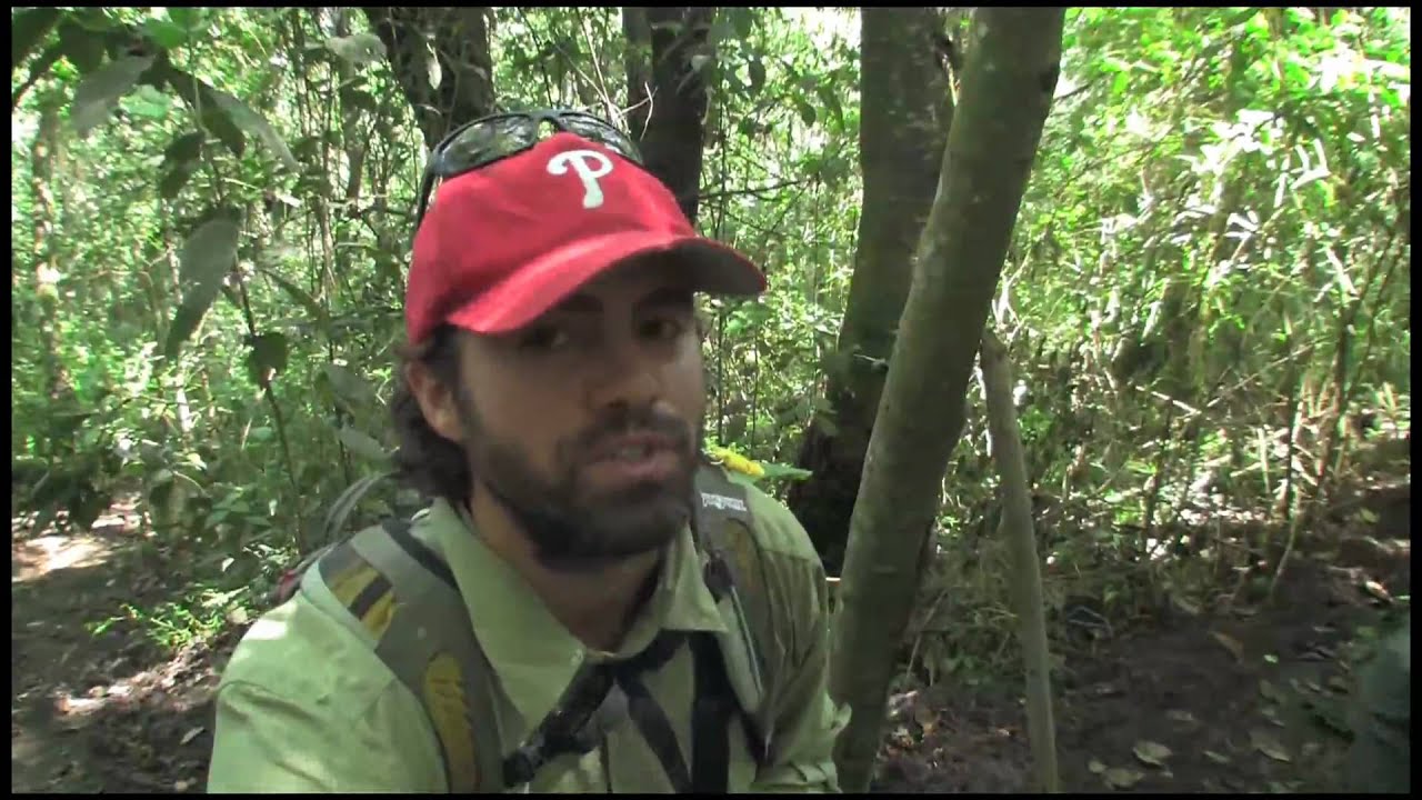 Climbing Volcano San Pedro - Video Ep. 2