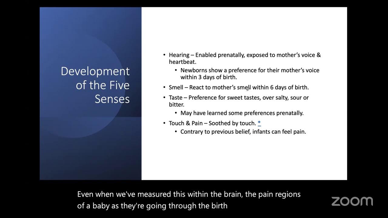 PSY 240-1 Human Growth and Development 01/27 Infant Development I