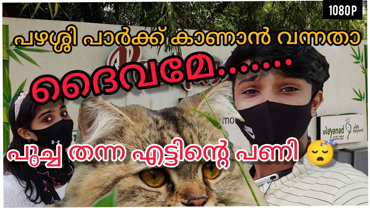 What's in on pazhassi park| mananthavady | wayanad beauty| blog with our pet| blog 01| malayalam|