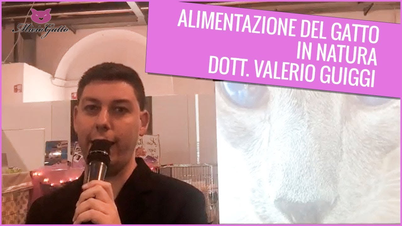 Alimentazione del gatto in natura: seminario di Valerio Guiggi a Follow Your Pet Firenze 2018
