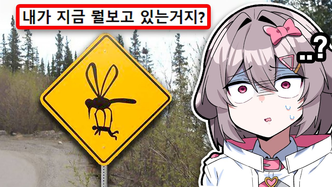 전세계에 있는 기이한 표지판 모음집