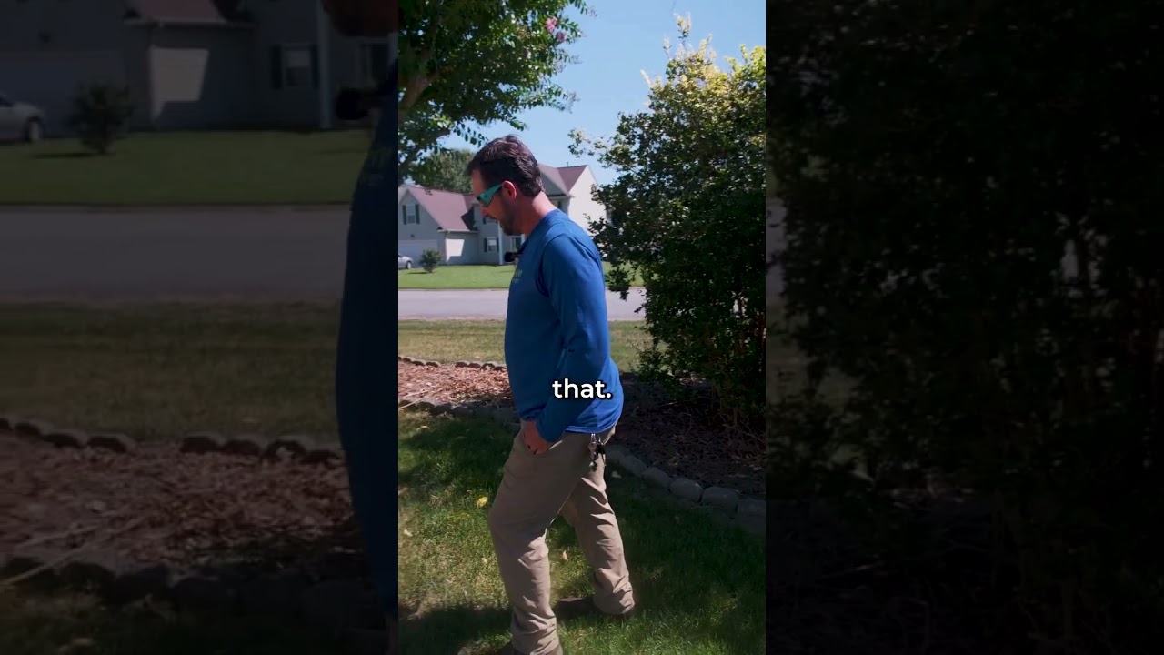 How to Fix Brown Patches on Your Lawn?