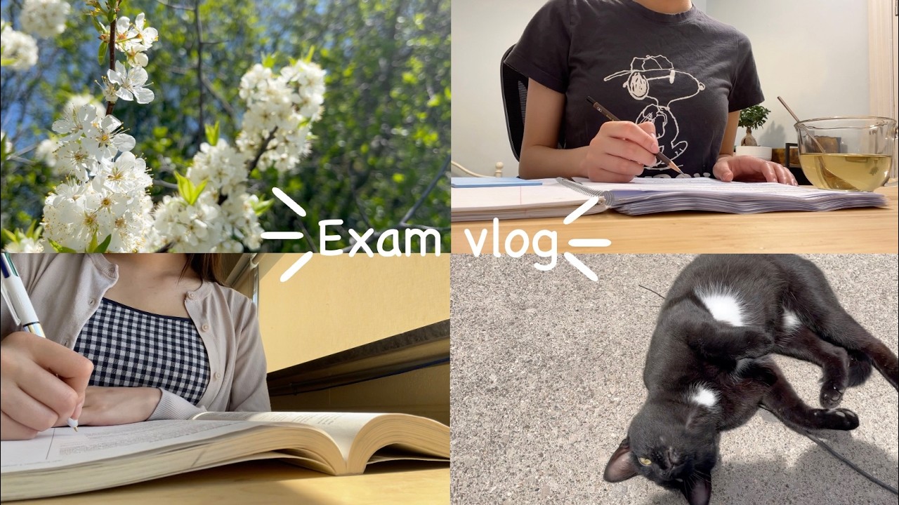 Busy but happy exam vlog | Hard work will eventually pay off