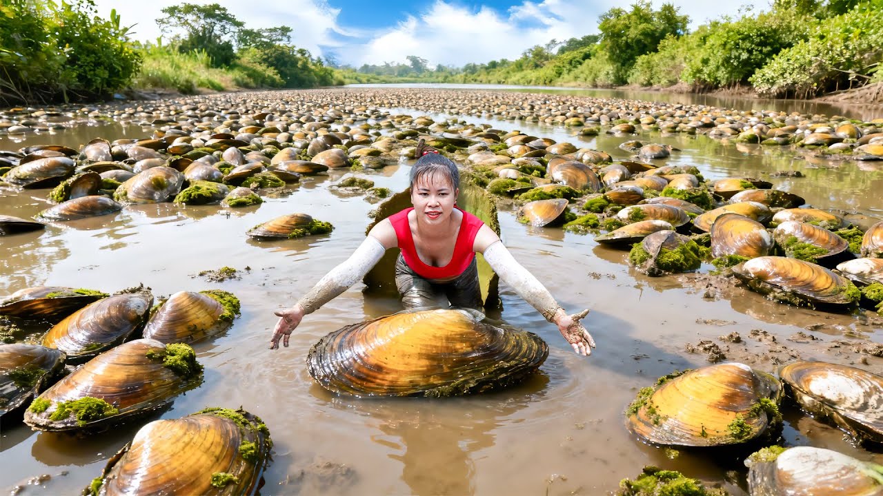 Catching 100KG+ Mussels in a Muddy Stream Pond | Selling at Countryside Market