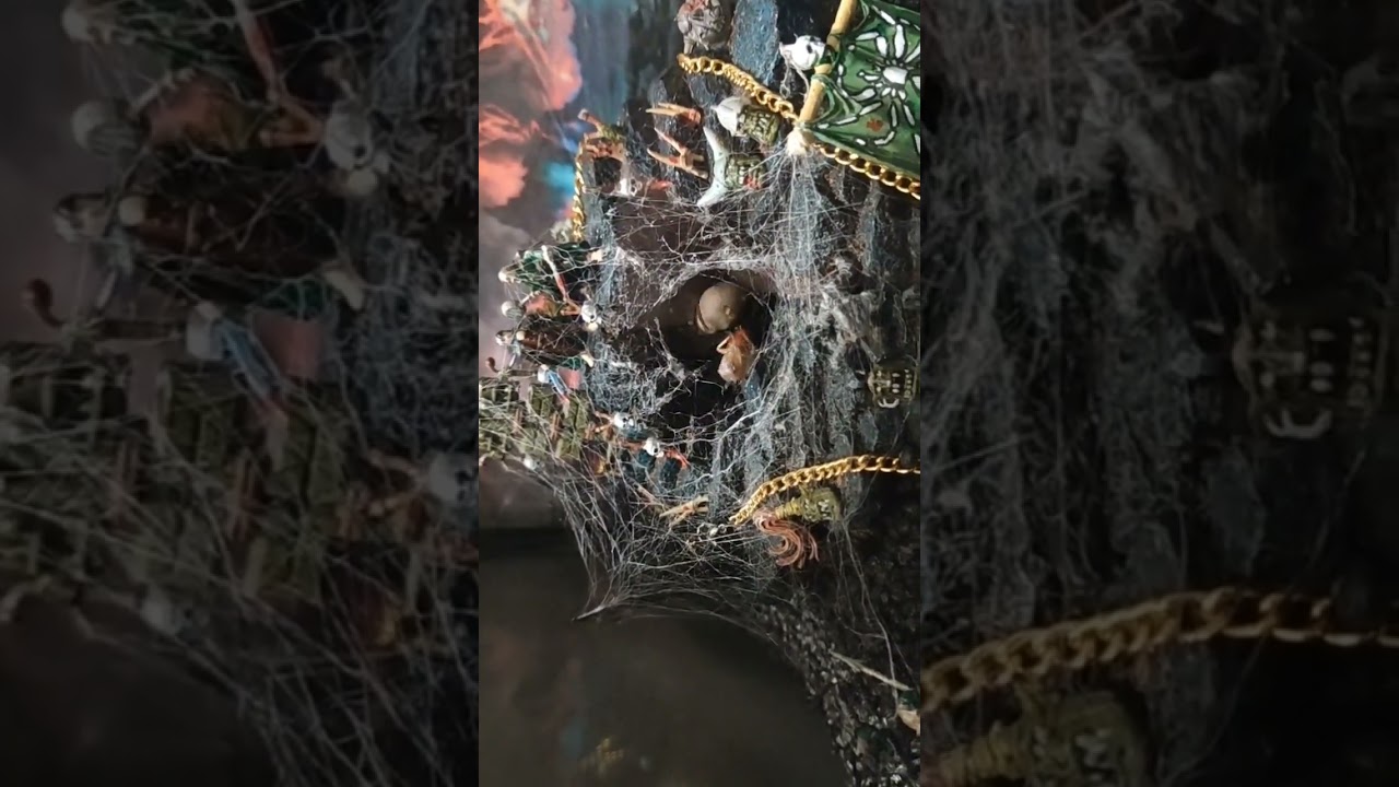 Spider feeding video #4