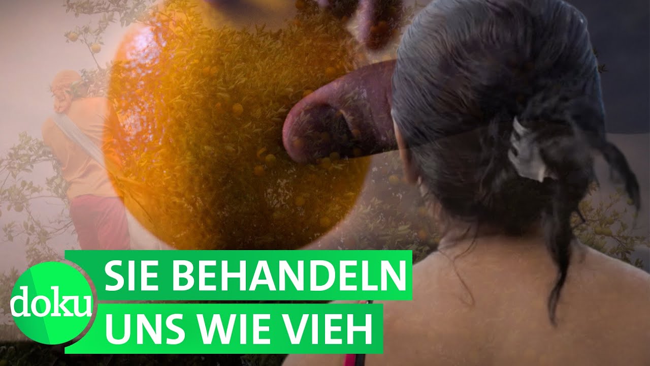 Orangensaft: Wer zahlt den Preis f&uuml;r unseren Durst? | WDR Doku