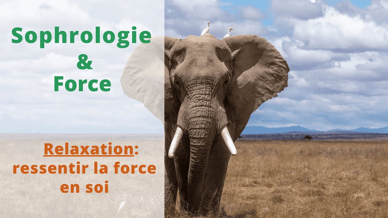 Sophrologie : relaxation guidée, visualiser la force en soi, la confiance.