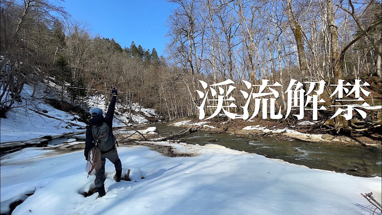 【渓流解禁】 解禁初日は天国！ 活性高い鱒たちが連続ヒット 【渓流 ルアーフィッシング】 Hokkaido.Small Stream Lure Fishing.
