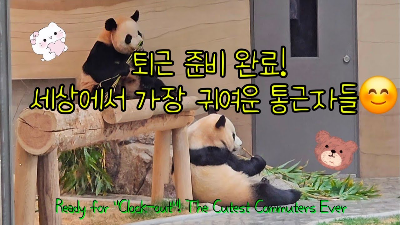 [ep.80]