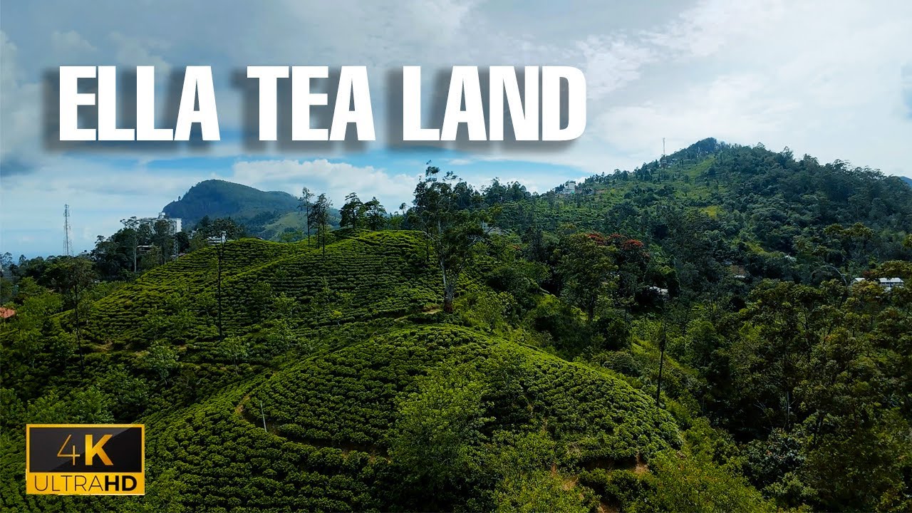 Ella Tea Land View Point 🍀😲 | 4K | DJI Avata 2 Cinematic FPV Drone Tour