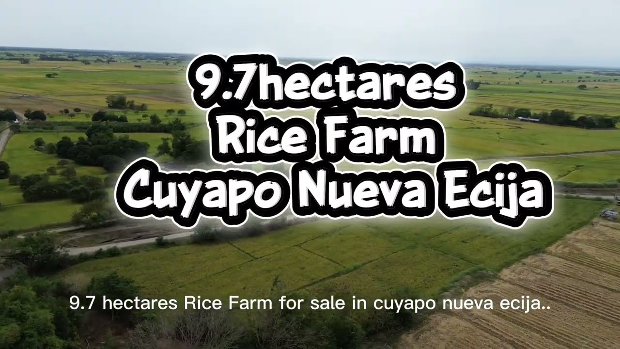 3Million Guaranteed income /year RICE FARM LOT in Cuyapo Nueva Ecija