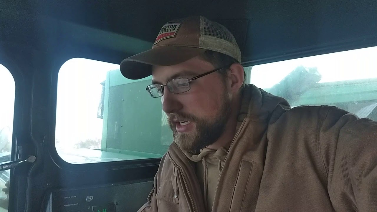 Still cutting Beans