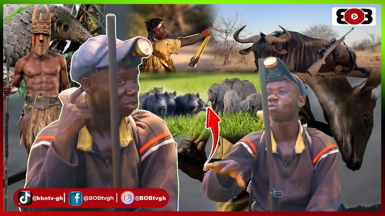 😱Sc@ry Mystery: Hunter runaway when KOKOTE - Boars  transform to Elephants🐘 instantly after he..