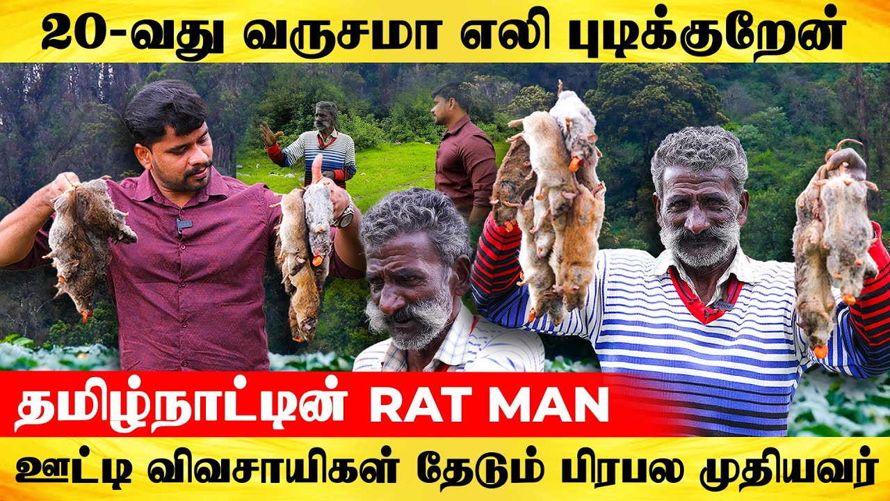 தமிழ்நாட்டின் RAT MAN...ஊட்டி விவசாயிகள் தேடும் பிரபல முதியவர்| Ooty RATMAN #citifox