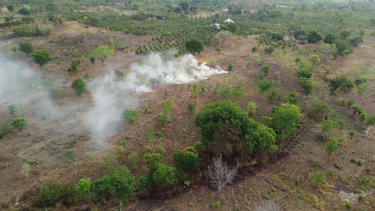 Gungul Shangev- Tiev, Benue State Nigeria: The Land is Green