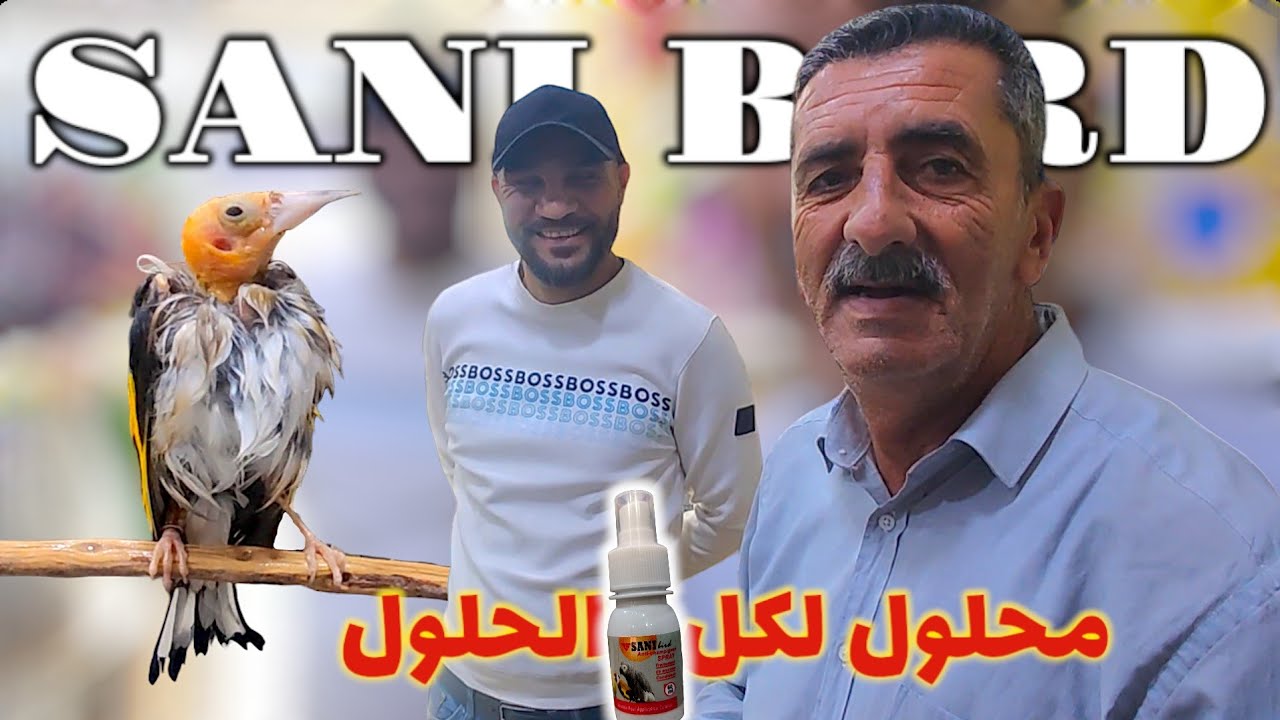 محلول لكل الحلول SANI BIRD البرهان و المكان | رابح الحراش