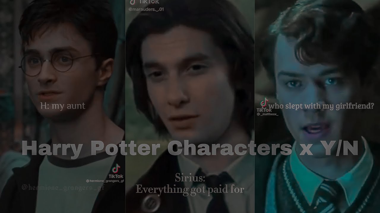 Harry Potter Characters x Y/N TikTok POV