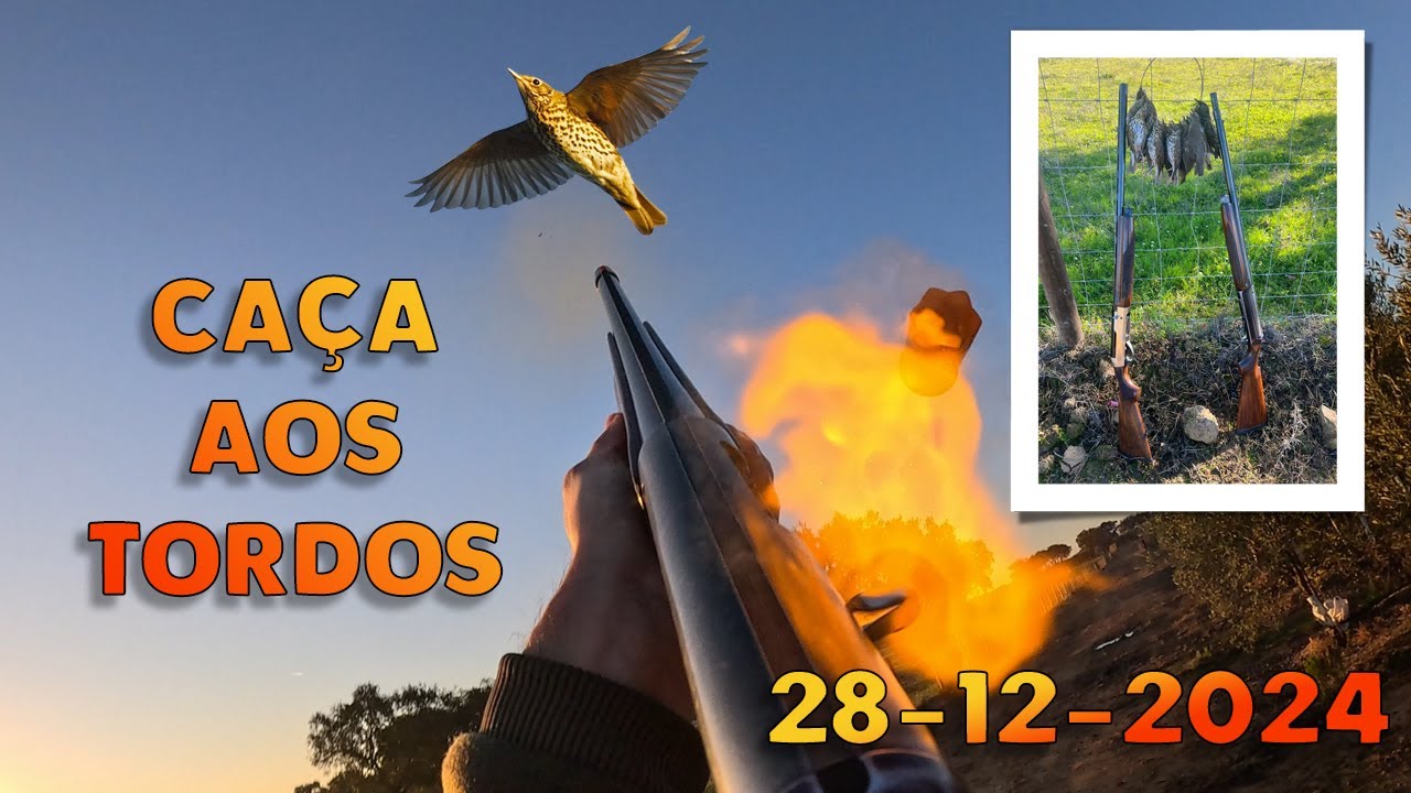 5ª Jornada de Caça aos Tordos - Um belo dia com camaradagem top (Caza Zorzales Época 2024/2025)