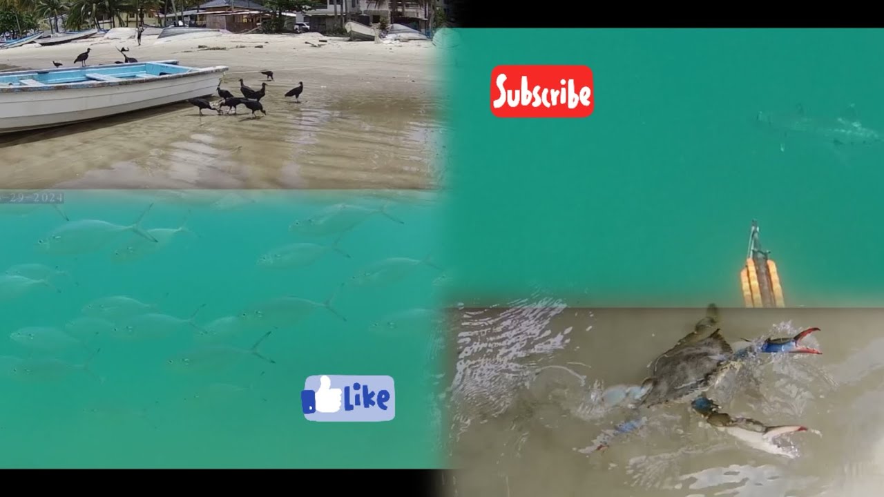 Good Friday spearfishing Trinidad