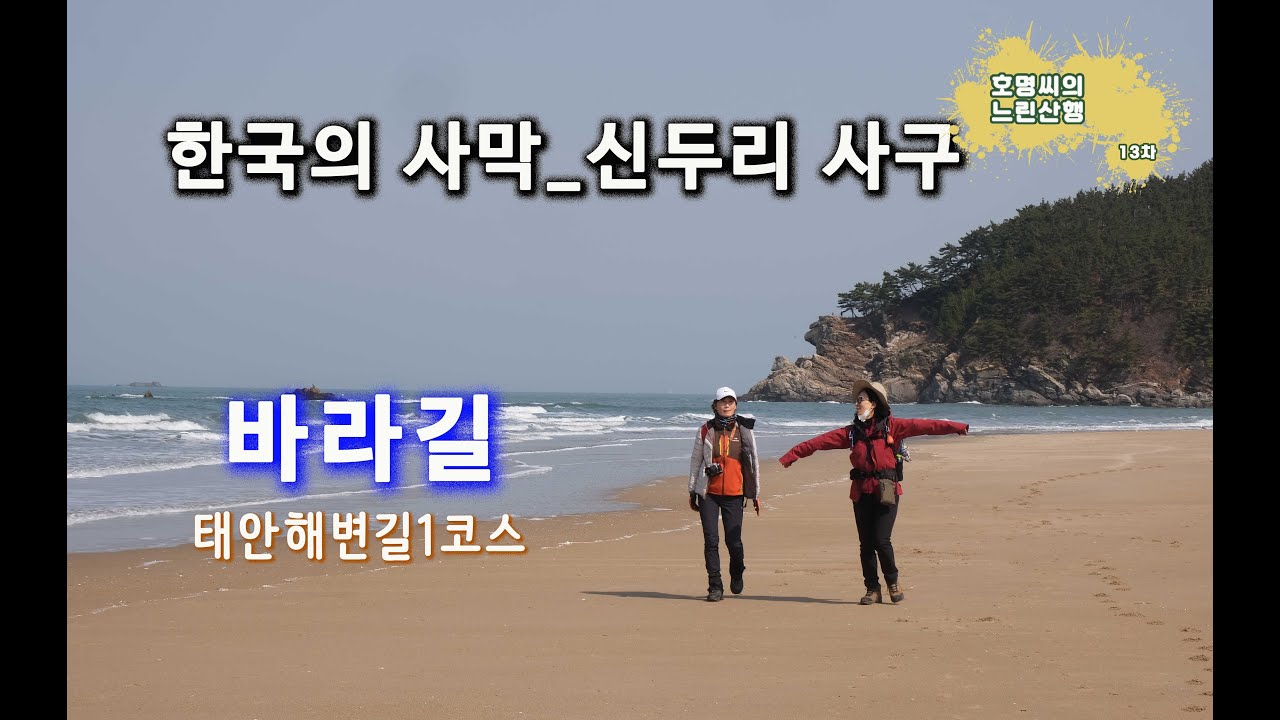 [국립공원 탐방13차] 태안해안국립공원.여인들의 수다.바라길_태안해변길1코스. 한국의 사막 신두리해안사구. 모래와 해송숲을 걸으며 힐링을 맛본다.