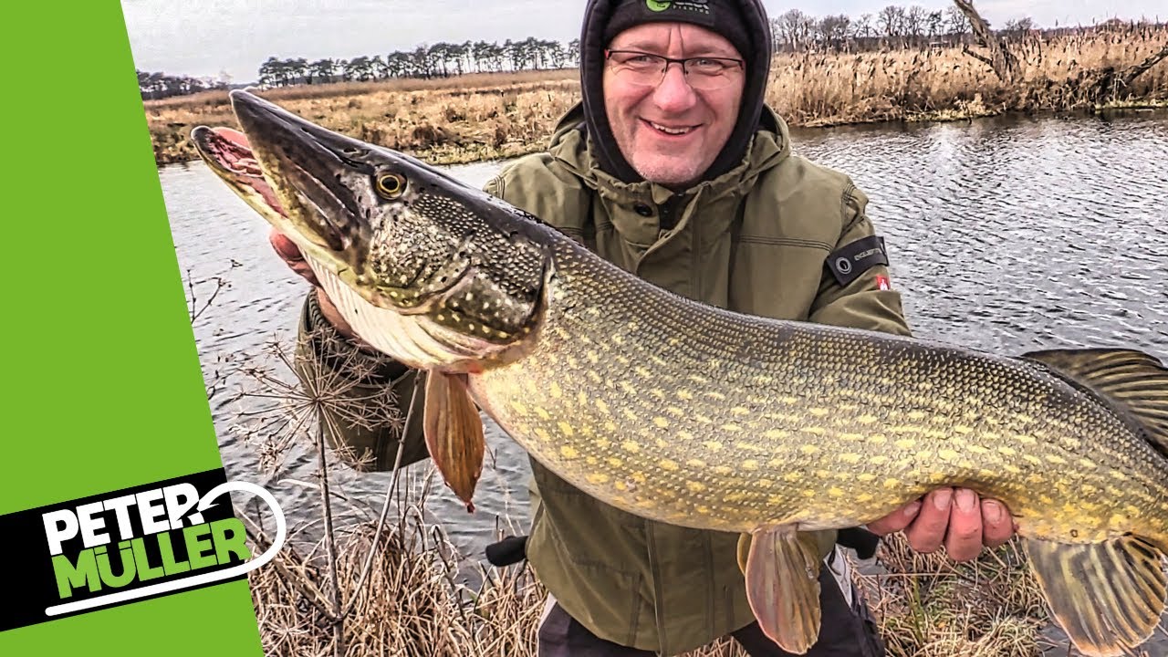 Hechtangeln - Kleiner Köder - großer Hecht | Fishing | #pike #fishing