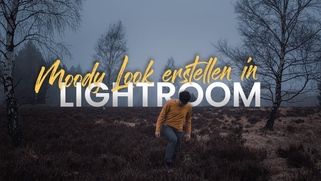 Moody Look erstellen in Lightroom | Tutorial (2021)
