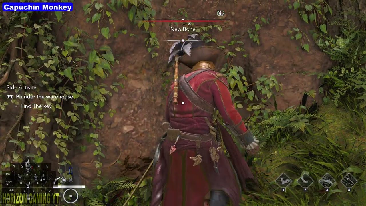 ACBF How to Find All New Bone Animals Hunting Location - Assassin's Creed Black Flag Resynced