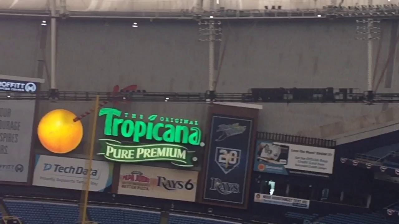 Catwalks at Tropicana Field: View of the catwalks from the 300 level