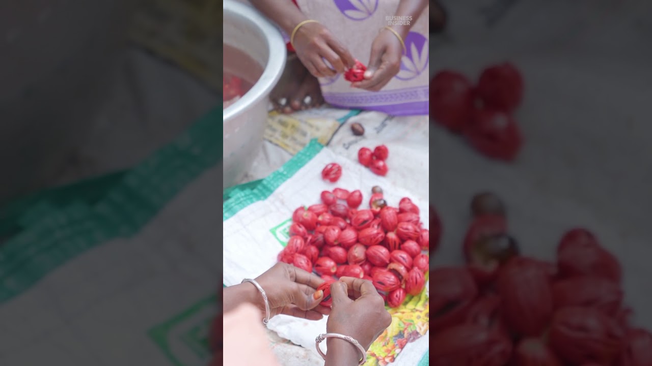 Removing #nutmeg from #mace is a time-consuming and delicate process. #indianspices