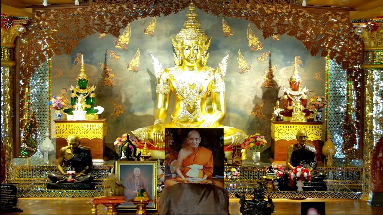 วันที่ 31 มกราคม  2569 ร่วมรับฟังหลวงตาม้าบรรยายธรรม  19.30-21.00 น.