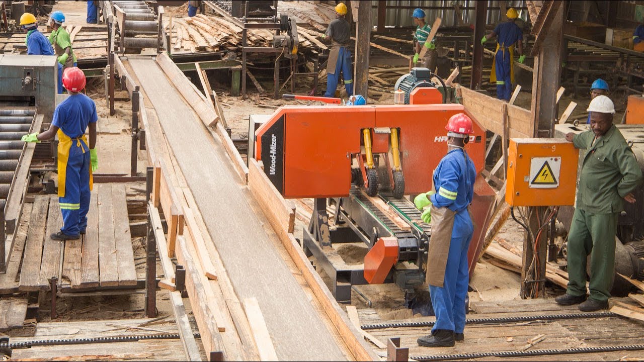 Wood-Mizer HR2000 Resaw & EG800 Edger in Action in Swaziland | Wood-Mizer