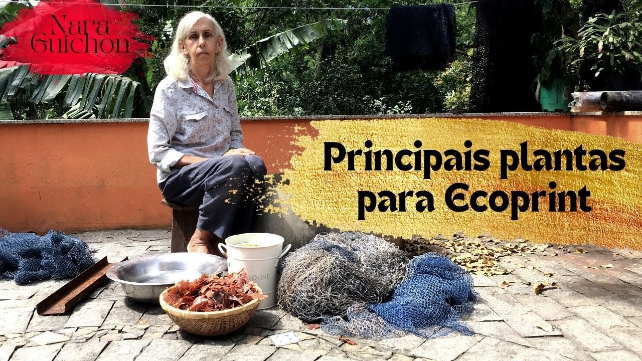 Conheça as principais plantas para a impressão botânica (Ecoprint) | Nara Guichon