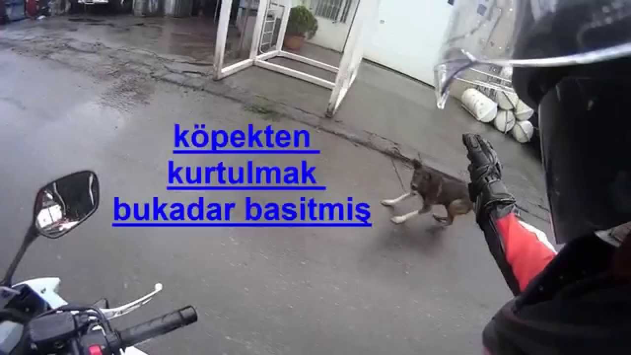 HEY MOTORCU KÖPEK SORUNUNA SON