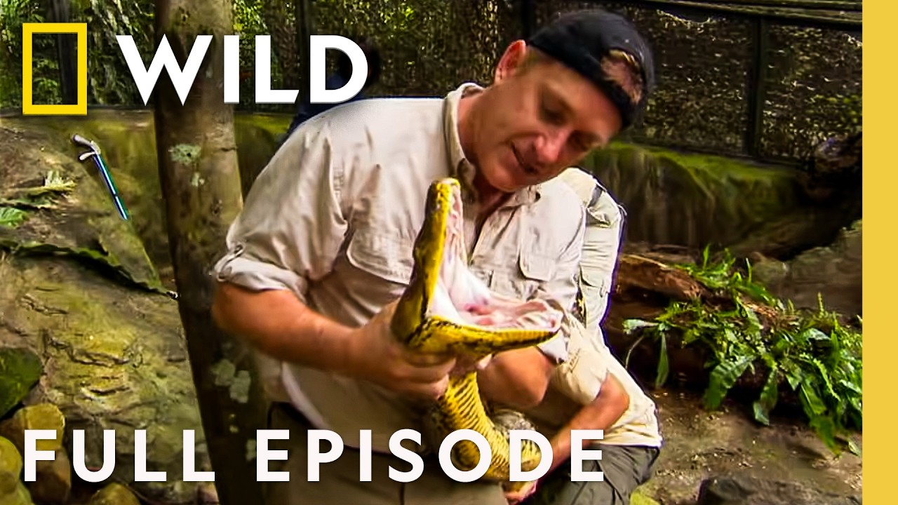 Why Do Reptiles Thrive in Dark Caves? (Full Episode) | Dangerous Encounters | Nat Geo Animals