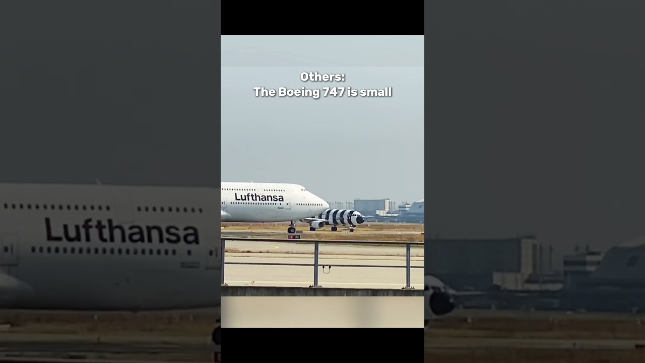 B747 isn&lsquo;t small #b747 #a320 #aircraft #shorts #viral #avgeeks #aviation