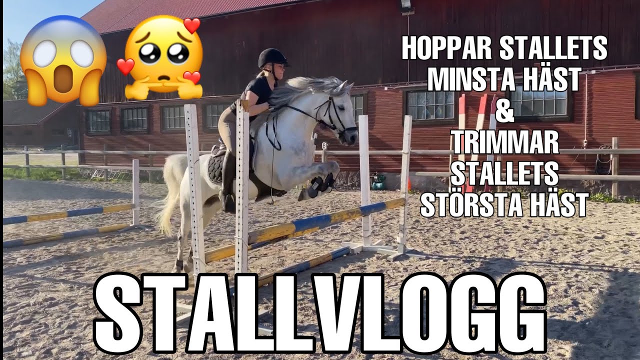 STALLVLOGG - HOPPAR STALLETS MINSTA HÄST OCH TRIMMAR STALLETS STÖRSTA HÄST
