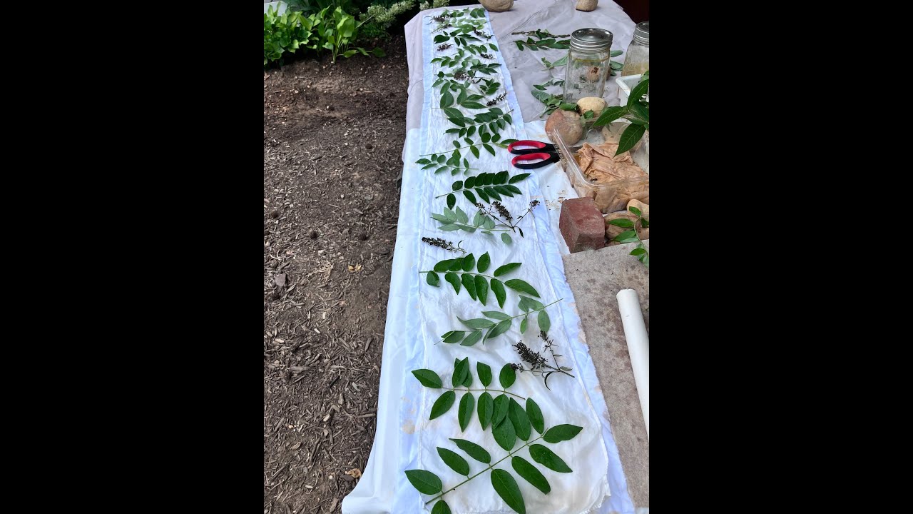 Eco Printing Silk Scarves | The Process
