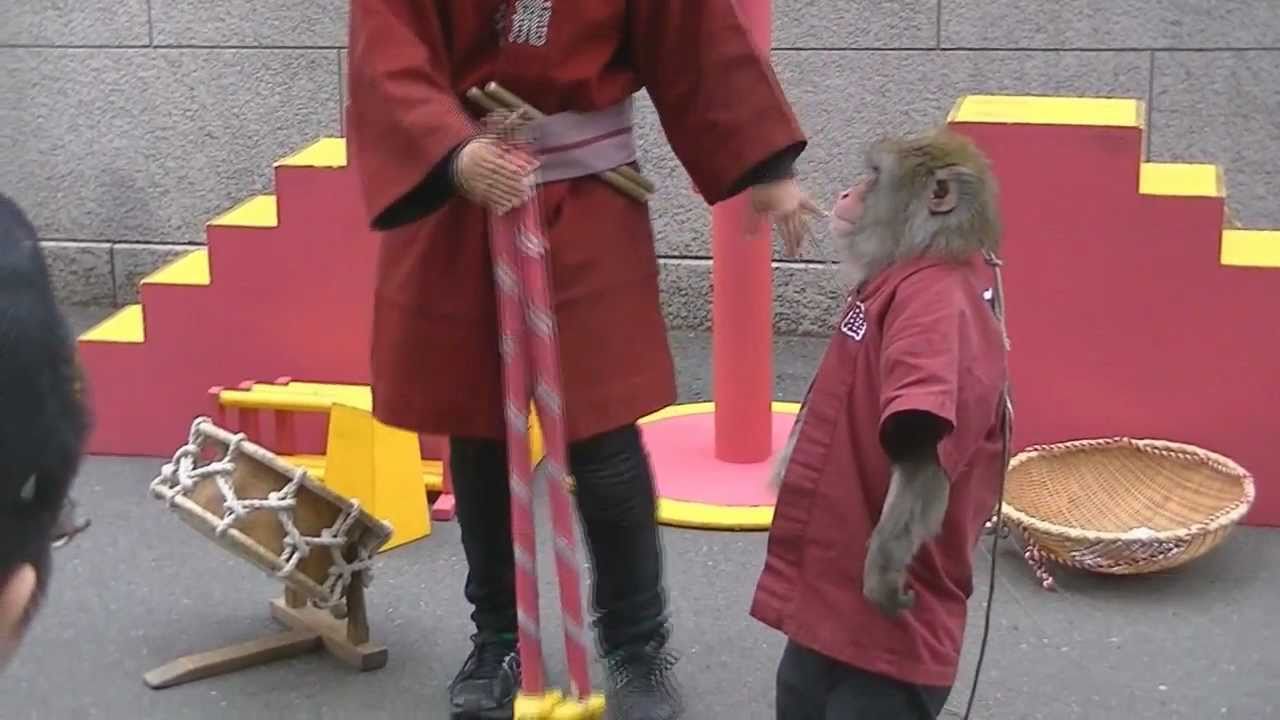 Monkey Jump in Tokyo Tower Japan