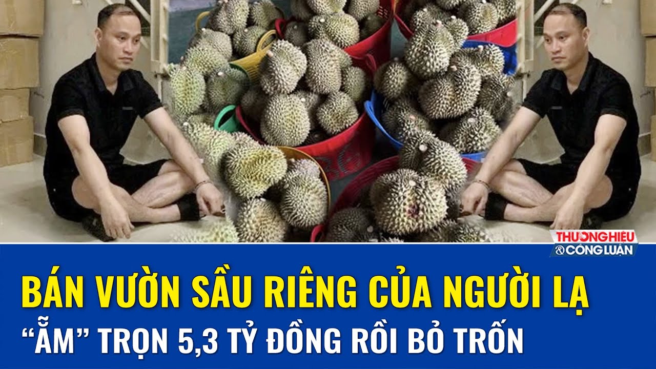Bắt đối tượng lừa đảo mua bán sầu riêng, chiếm đoạt hơn 5,3 tỷ đồng | THCL