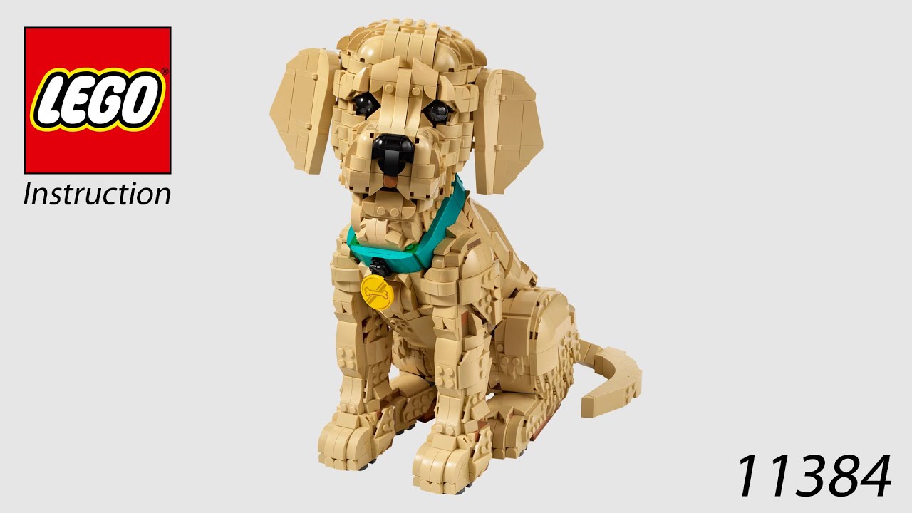 LEGO Instruction - Icons - 11384 - Golden Retriever Puppy