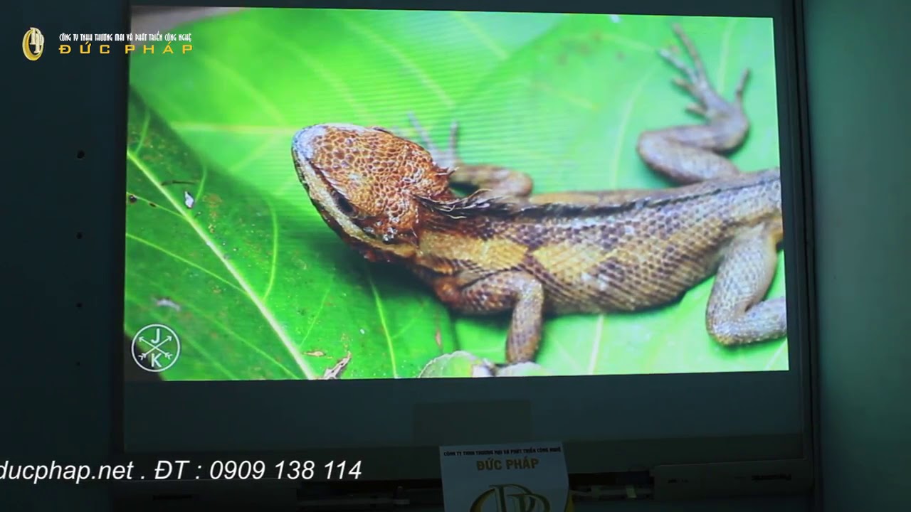 Epson EB W05 Projeksiyon Cihazı