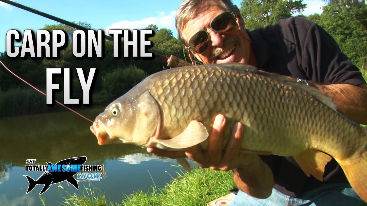 Carp Fishing with a Fly Rod | TAFishing