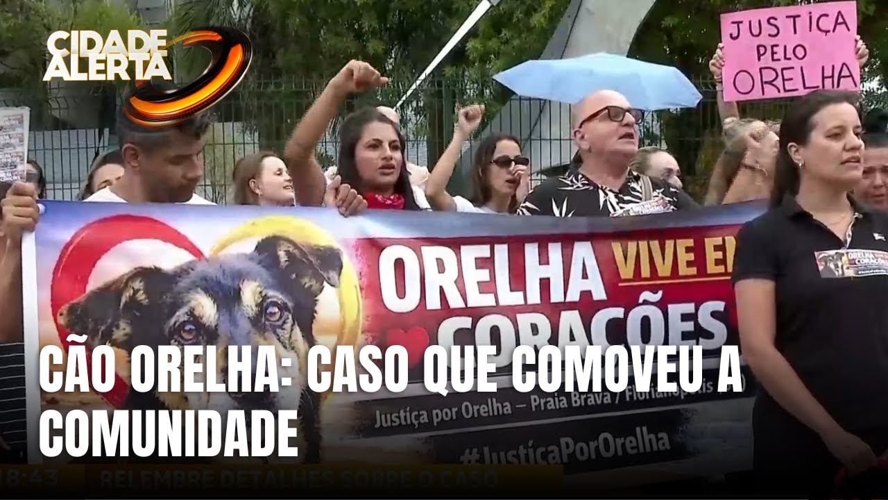 Entenda os principais detalhes do caso do Cão Orelha