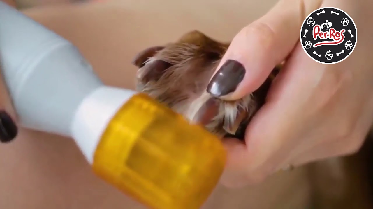 Limador Rotativo de U&ntilde;as para mascotas!