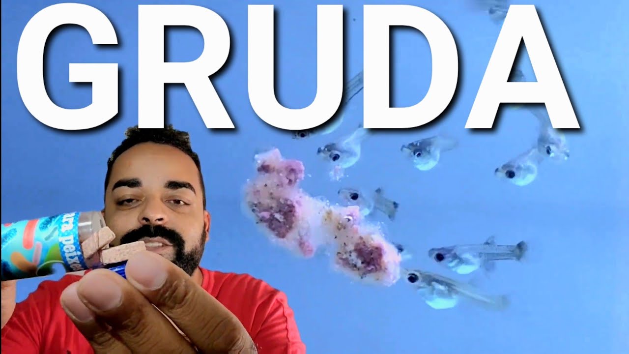 RAÇÃO para PEIXES que GRUDA no Vidro do AQUÁRIO?  Conheça a BIOFIX DA MARAMAR