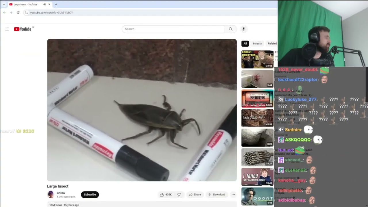 Forsen Reacts to Large Insect