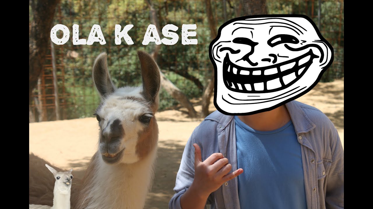 En El ZoO O K ASE- Zoo De Castellar