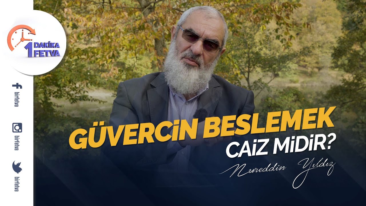 Güvercin beslemek caiz midir? | [Birfetva-Nureddin Yıldız]