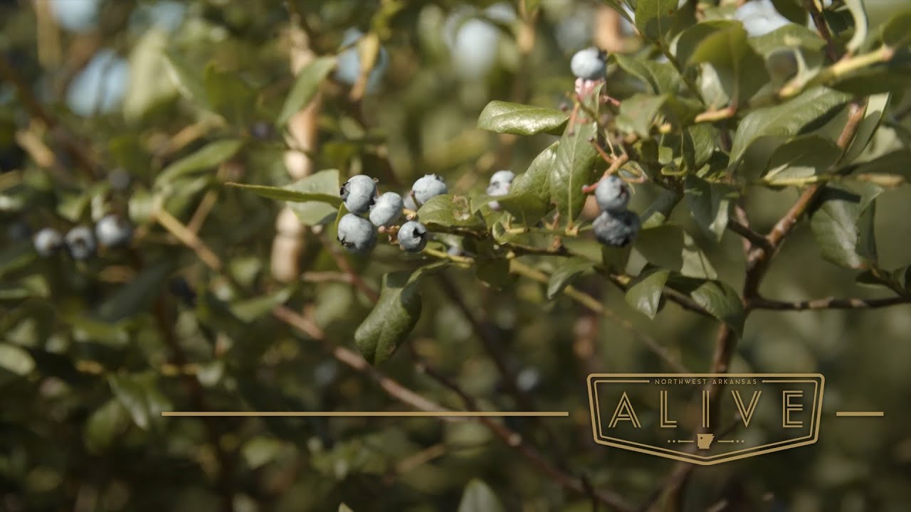 Neal's Family Farm | Northwest Arkansas ALIVE (Season 06, Episode 01)