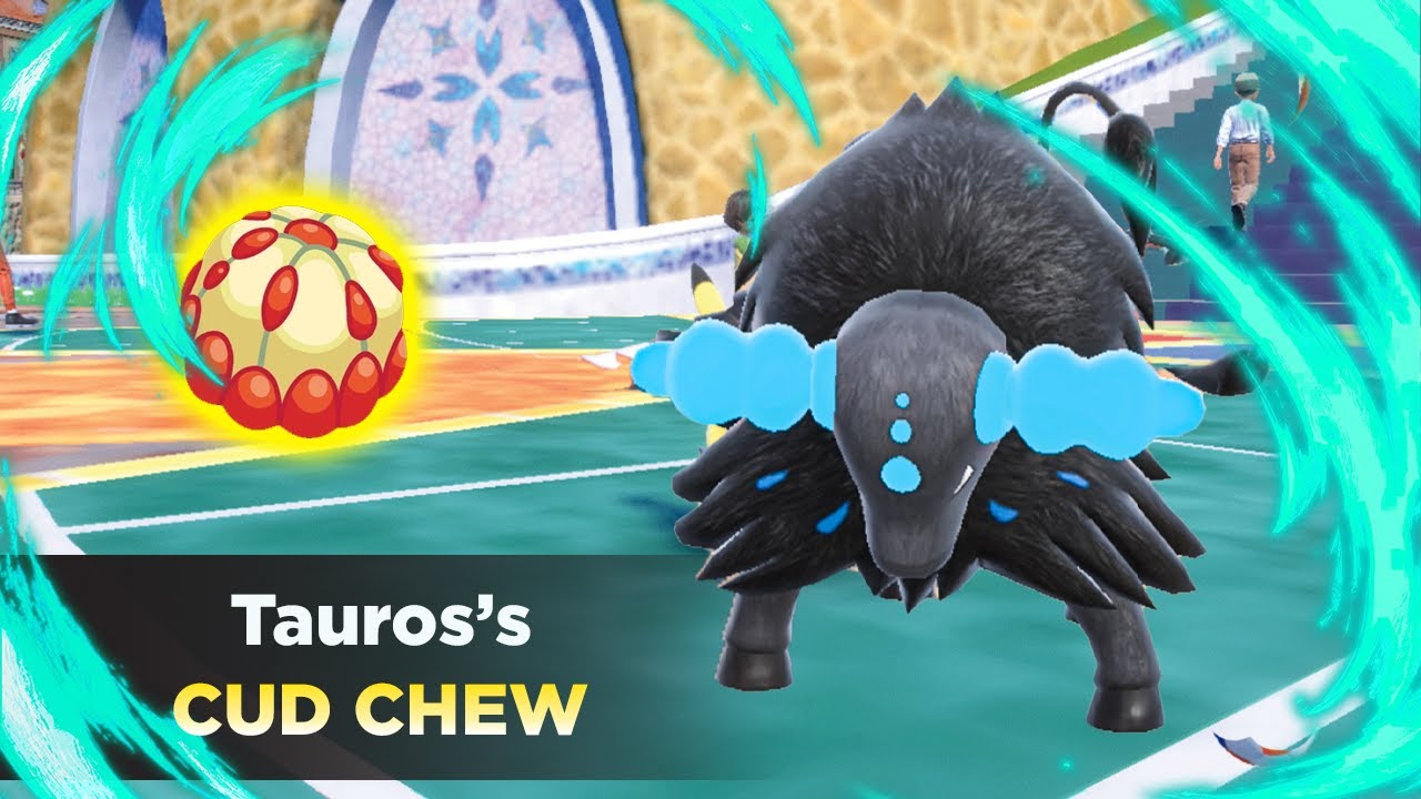 New WATER PALDEAN TAUROS Goes Crazy